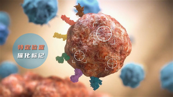 科学家开发新型邻近标记技术有望精准打击癌细胞
