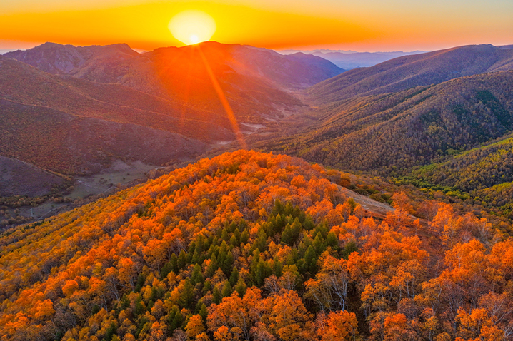 2025年9月26日，内蒙古赤峰黄岗梁秋意正浓，山林被金黄、橙红等色彩晕染，蜿蜒道路穿梭其间，宛如大自然绘就的绝美画卷，美不胜收。
