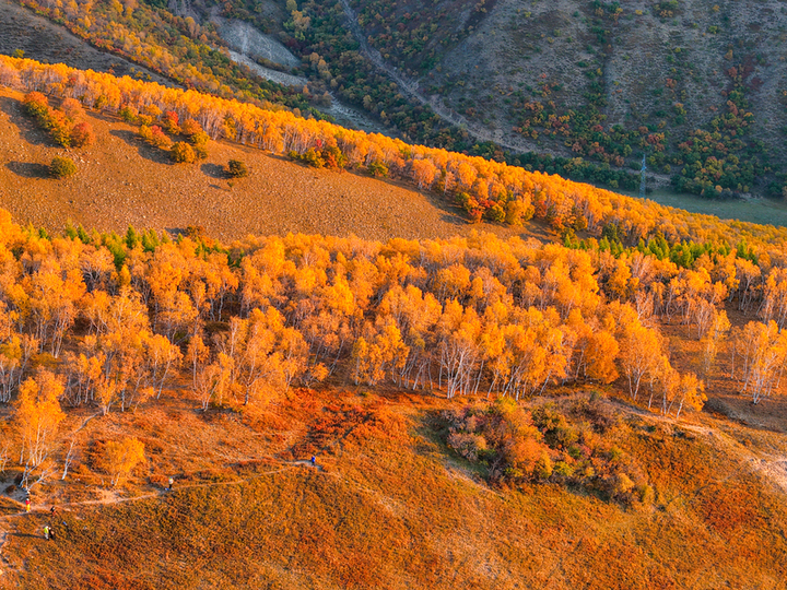 2025年9月26日，内蒙古赤峰黄岗梁秋意正浓，山林被金黄、橙红等色彩晕染，蜿蜒道路穿梭其间，宛如大自然绘就的绝美画卷，美不胜收。

