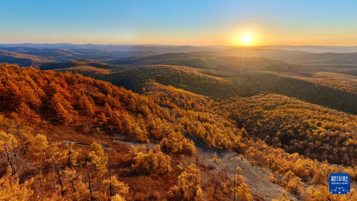 这是9月28日在内蒙古呼伦贝尔市牙克石市绰河源镇拍摄的大兴安岭林海日出（无人机拼接照片）。
近日，位于内蒙古呼伦贝尔市境内的大兴安岭西坡地区秋意正浓。新华社记者 马金瑞 摄
