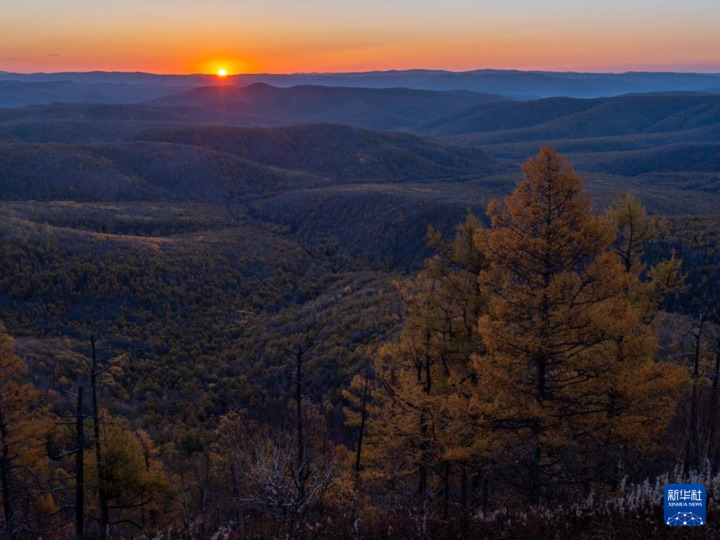 这是9月28日在内蒙古呼伦贝尔市牙克石市绰河源镇拍摄的大兴安岭林海日出。