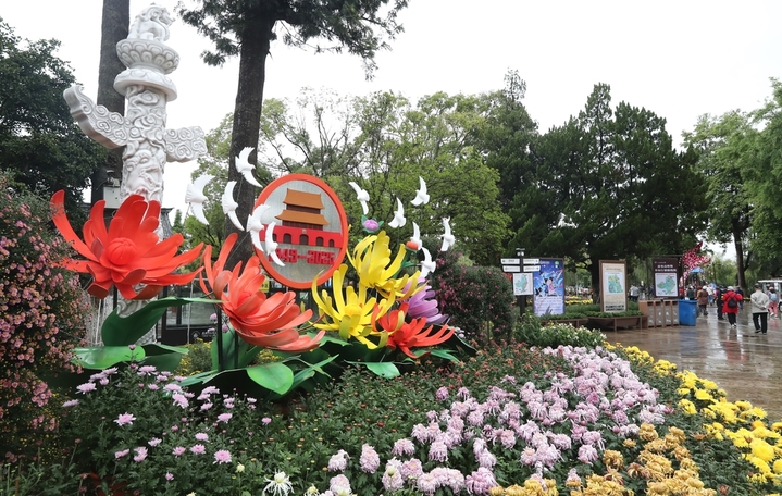 2025年10月1日，云南昆明，大观公园举办第31届大观金秋菊花展，万余各色盆菊花缤纷绽放，吸引市民游人前来赏花观景。杨峥/IC photo