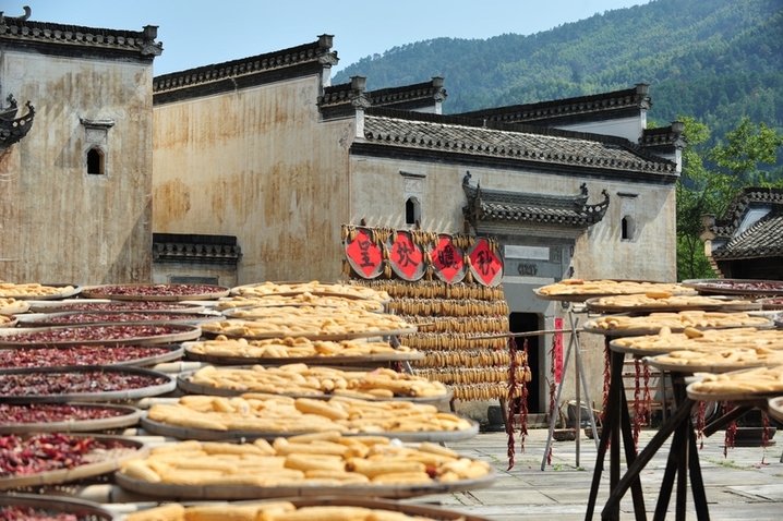 2025年10月5日，安徽黄山，呈坎古村晒秋场景。
