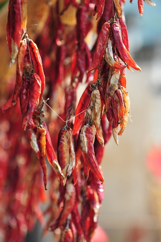 2025年10月5日，安徽黄山，呈坎古村晒秋场景。
