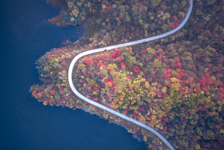 2025年10月12日，黑龙江省哈尔滨市五常市，磨盘山漫山遍野五颜六色的树叶，如大自然打翻的调色盘，美不胜收。
