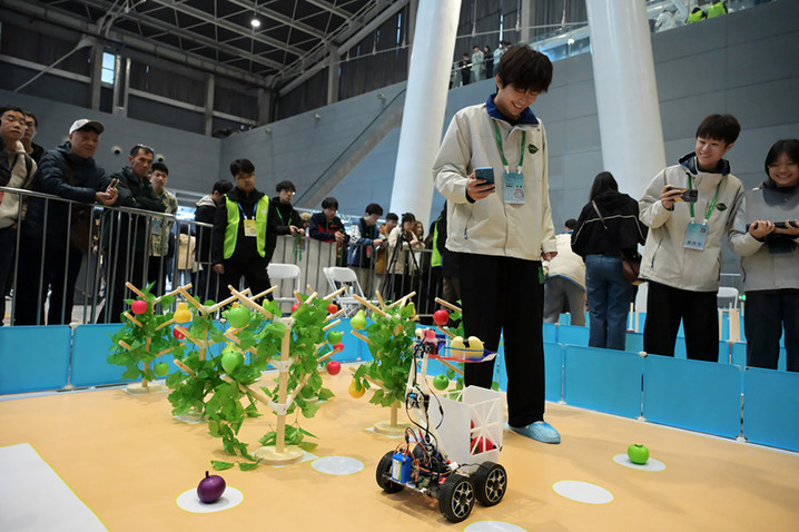 2025年10月17日，2025中国机器人大赛暨RoboCup机器人世界杯中国赛在河北石家庄举行。本届比赛吸引清华大学、上海交通大学等国内300余所高校参赛，众多机器人爱好者一同见证科技盛宴。图为采摘机器人比赛现场。  翟羽佳(河北分社)/中新社/视觉中国