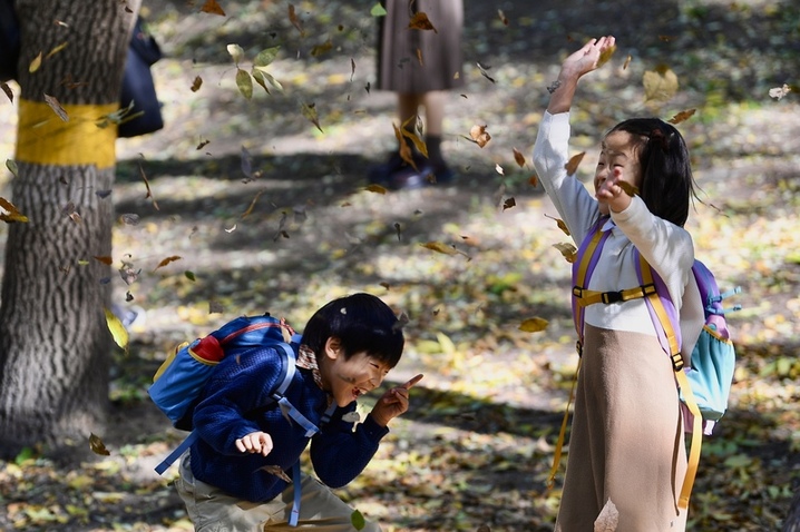 园内，苹果榭周边的树木褪去绿装，换上了金黄、橙红的斑斓外衣。阳光透过枝叶洒下，在地面形成斑驳的光影。湖畔的画架上，一幅色彩明艳的画作正悄然成型，颜料的绚丽与自然的秋景相互呼应，仿佛艺术与自然在此刻完成了一场美妙的对话。
