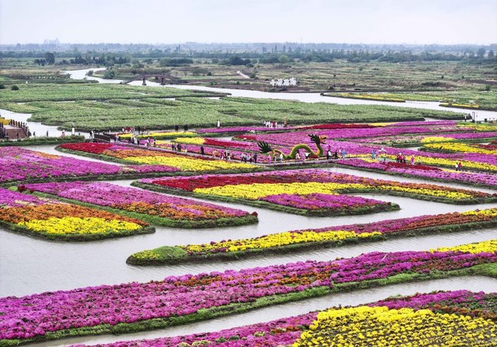 2025年10月18日，江苏兴化，游客在千垛景区赏花游玩。
