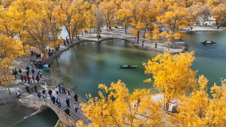 2025年10月18日，甘肃酒泉，金塔沙漠胡杨林景区胡杨林与湖水相映成景，吸引游客。

