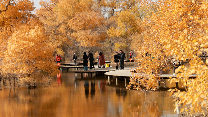 2025年10月18日，甘肃酒泉，金塔沙漠胡杨林景区胡杨林与湖水相映成景，吸引游客。

