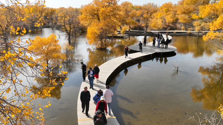 2025年10月18日，甘肃酒泉，金塔沙漠胡杨林景区胡杨林与湖水相映成景，吸引游客。

