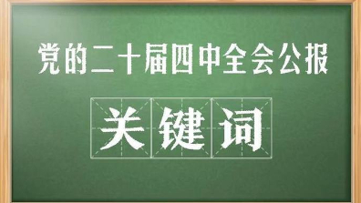 敲黑板！关键词看党的二十届四中全会公报
