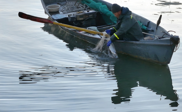 2025年10月24日，黑龙江省哈尔滨市，初冬的清晨，松花江水平如镜，倒映着天边微光。一艘艘小渔船轻划江面，渔民们娴熟地起网、下网，银丝渔网在晨光中闪烁，网上跃动的鱼影与波光交织。金黄的晨光铺满江面，将渔船、渔网和渔民的剪影染成温暖的金色，宛如一曲无声的渔光曲。江面倒影摇曳，渔船与天际线融为一体，构成一幅静谧而生动的初冬捕鱼图。