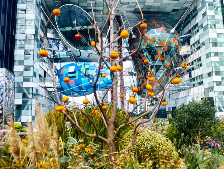 2025年10月23日，2025年长三角城市花境营建技能竞赛暨第二届花卉景观营建技能竞赛决赛活动近日在北外滩举行。来自江苏省南京市、苏州市等14家长三角城市生态园林城市绿化单位与上海16个区等18家竞赛牵头单位、25家绿化企业，共计38支参赛队同台竞技，本次大赛划分了4个区域并分别命制了“萌芽”“展叶”“开花”“收获”等区域主题。吸引了众多市民游客前来观看留影。