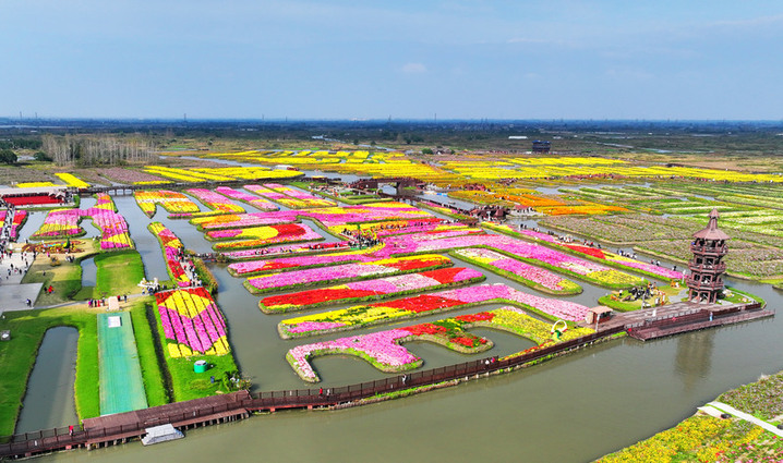 2025年10月26日，江苏扬州，游客在兴化市千垛景区赏菊游玩。