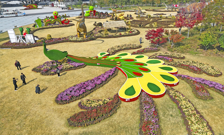 2025年10月29日，徐州园博园内的40余组独具匠心的菊艺造型景观吸引许多游客欣赏。
各种形态逼真、造型有趣的彩色绿雕与绚烂菊海、巨型恐龙相映成趣共同构成金秋独特的风景线，为市民游客带来一场自然生态与奇幻体验交融的秋日盛宴。孙井贤/视觉中国