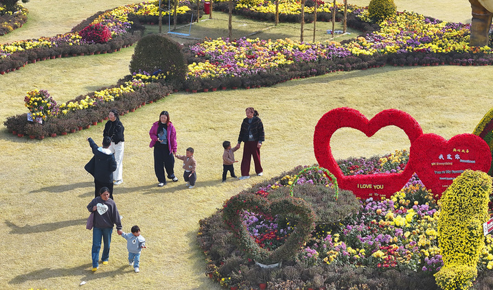 2025年10月29日，江苏徐州，游客在徐州园博园内欣赏菊艺造型景观。