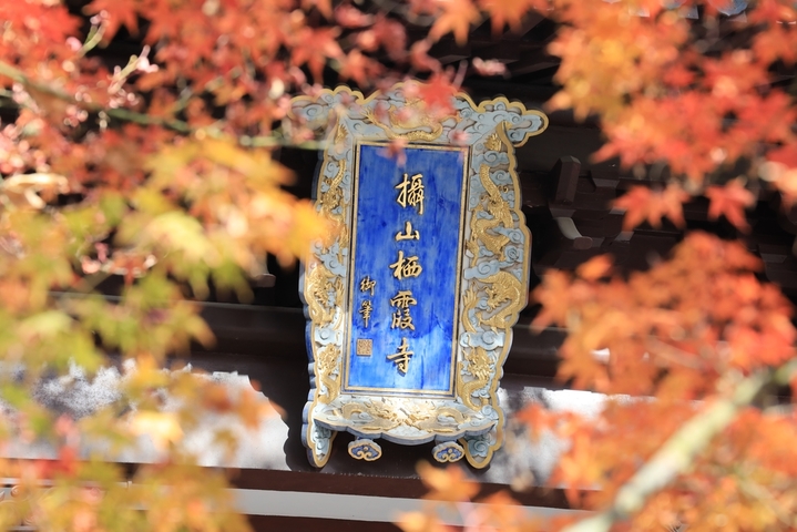 2025年12月9日 ，江苏南京栖霞山枫叶现已进入最佳观赏期，呈现出深红与飘丹交织的浪漫景象。偶遇景区给树木浇水，水雾透过光线穿过水雾形成的光柱营造出梦幻的丁达尔效应，与漫山遍野的红叶相映成趣，尤为迷人。徐福庚/IC photo
 