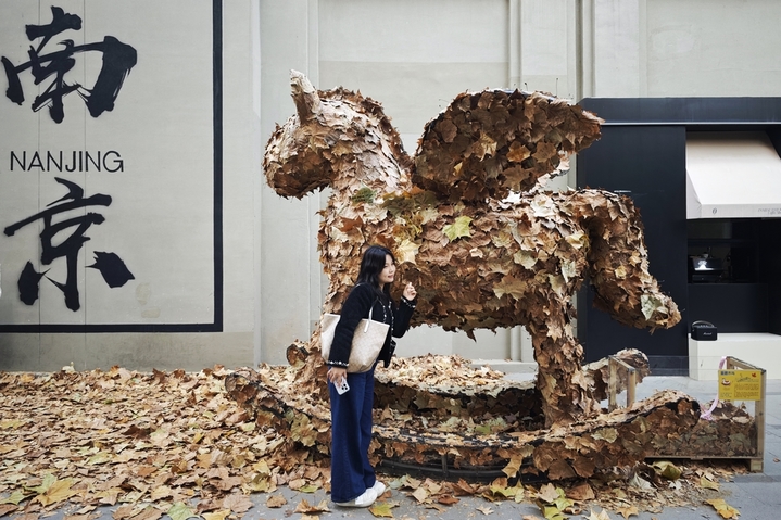 12月10日，江苏南京，市民在“星愿木马”旁拍摄照片。近日，用梧桐落叶组成的公共艺术装置“星愿木马”亮相城南“南京墙”，打造冬日里的独家浪漫。