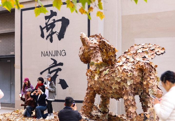 12月10日，江苏南京，市民在“星愿木马”旁拍摄照片。近日，用梧桐落叶组成的公共艺术装置“星愿木马”亮相城南“南京墙”，打造冬日里的独家浪漫。