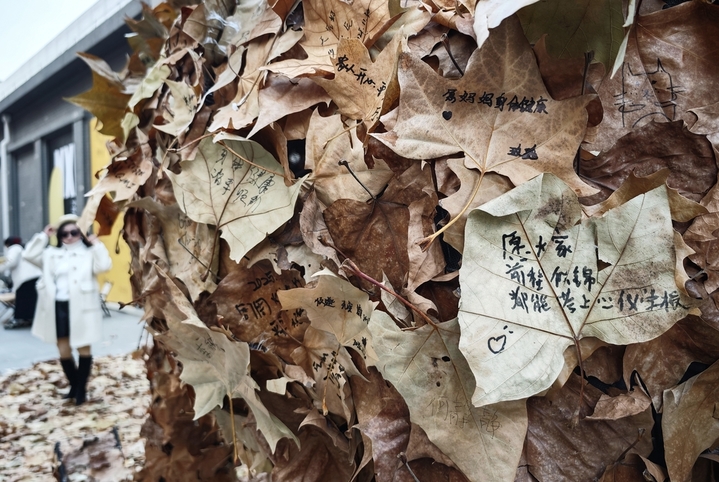 12月10日，江苏南京，市民在“星愿木马”旁拍摄照片。近日，用梧桐落叶组成的公共艺术装置“星愿木马”亮相城南“南京墙”，打造冬日里的独家浪漫。