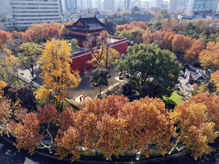 2025年12月9日，南京秋高气爽，鼓楼公园秋色斑斓，周边的树木各色交织，与古朴、砖红色的古建筑相映，如一幅画卷，美不胜收！