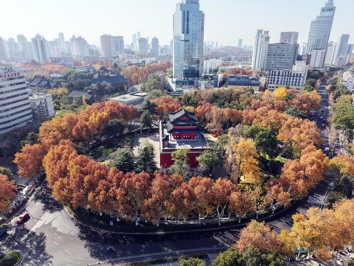 2025年12月9日，南京秋高气爽，鼓楼公园秋色斑斓，周边的树木各色交织，与古朴、砖红色的古建筑相映，如一幅画卷，美不胜收！
