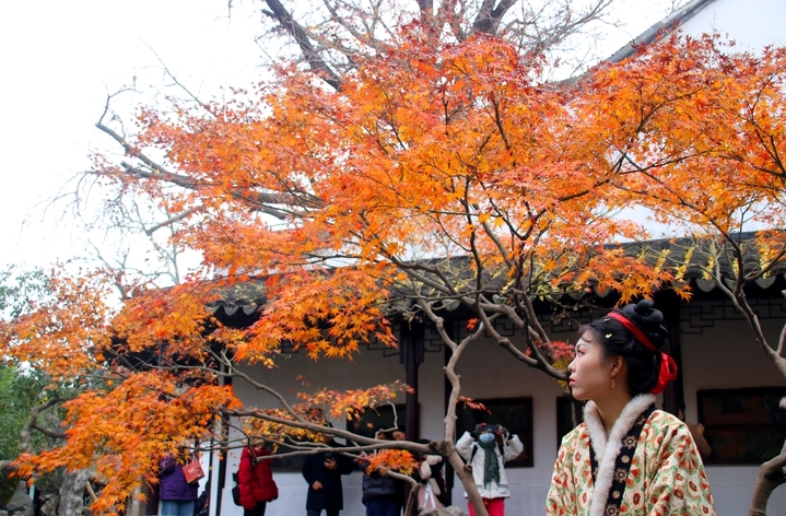 2025年12月21日，游客在苏州古典园林怡园内观赏“枫”景。