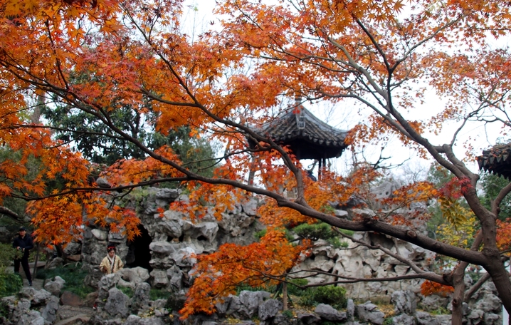 2025年12月21日，游客在苏州古典园林怡园内观赏“枫”景。