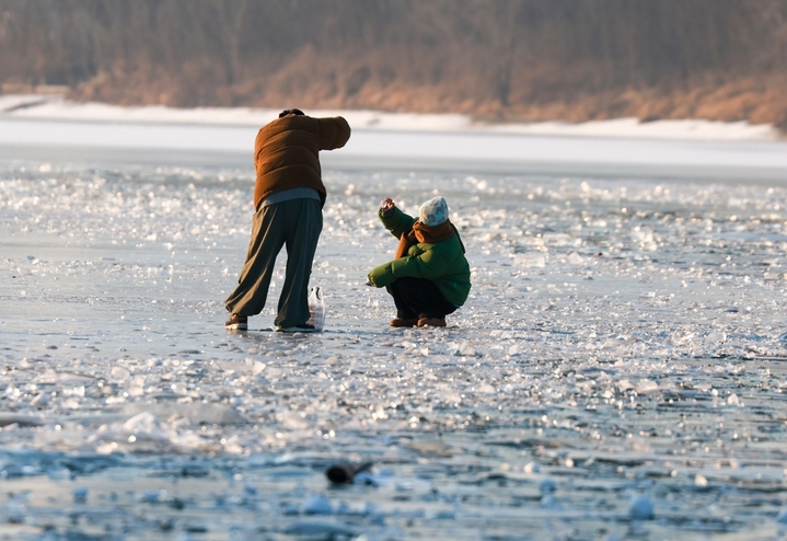 2026年1月4日，沈阳市民在浑河沈阳段的冰河上游玩、拍照，享受冬日时光。 