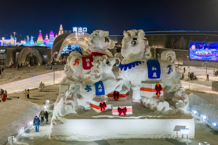 2026年1月5日，正值小寒节气，黑龙江省哈尔滨市，哈尔滨冰雪大世界冰雪节启幕，夜幕下，烟花腾空绽放，流光溢彩映亮冰雕玉砌的世界；无人机编队凌空起舞，变幻出骏马、雪花等灵动造型，各式冰雕晶莹剔透，5万游客驻足观赏拍照。
