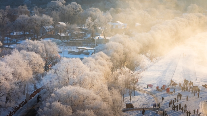 2026年1月8日，雪后的吉林市松花江畔阿什哈达一带，今晨生成了壮观唯美的雾凇，震撼眼球。
