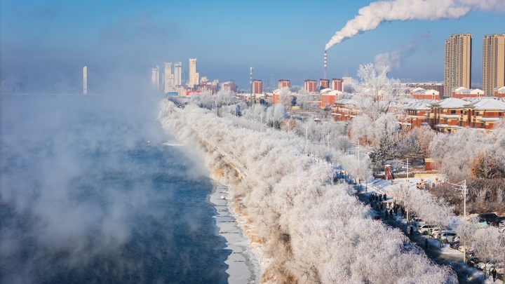 2026年1月8日，雪后的吉林市松花江畔阿什哈达一带，今晨生成了壮观唯美的雾凇，震撼眼球。
