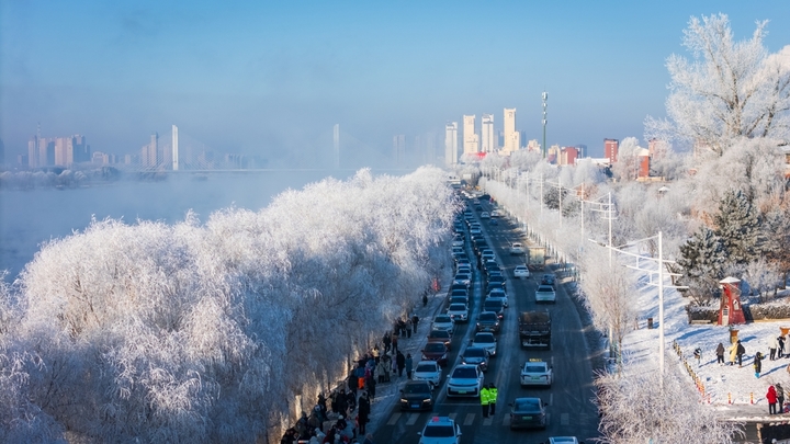 2026年1月8日，雪后的吉林市松花江畔阿什哈达一带，今晨生成了壮观唯美的雾凇，震撼眼球。

