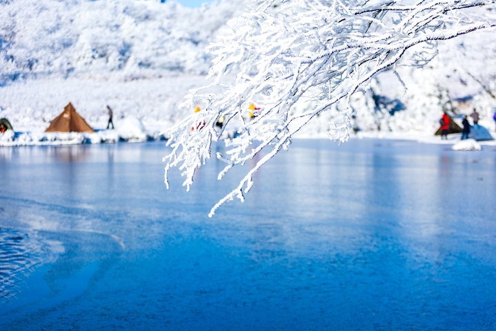 2026年1月21日，杭州临安百丈岭山顶迎来绝美雾凇奇观，枝头凝霜似玉，晶莹剔透，远山近树皆披银装，在湛蓝天空映衬下宛如冰雪童话世界。