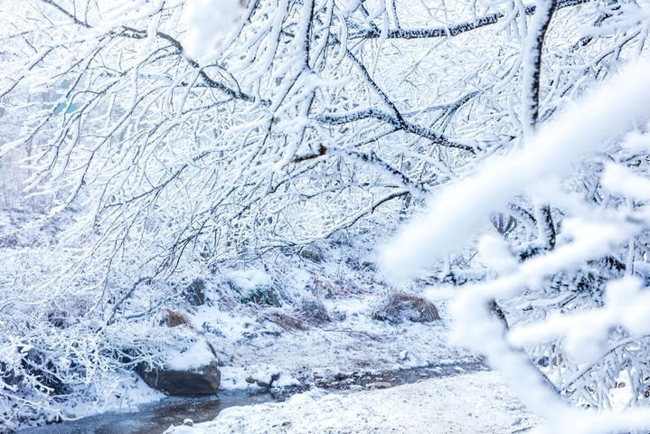 2026年1月21日，杭州临安百丈岭山顶迎来绝美雾凇奇观，枝头凝霜似玉，晶莹剔透，远山近树皆披银装，在湛蓝天空映衬下宛如冰雪童话世界。来源：IC photo