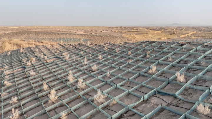 近年来，金塔县以“三北”工程攻坚战和沙漠边缘阻击战为抓手，推动生物压沙、草方格压沙和现代治沙技术的融合应用，持续推进沙线锁边工程与重点风沙口综合治理，让“沙海防线”在大漠中不断延伸，以更加科学、系统的治沙举措，筑牢河西走廊生态安全屏障。