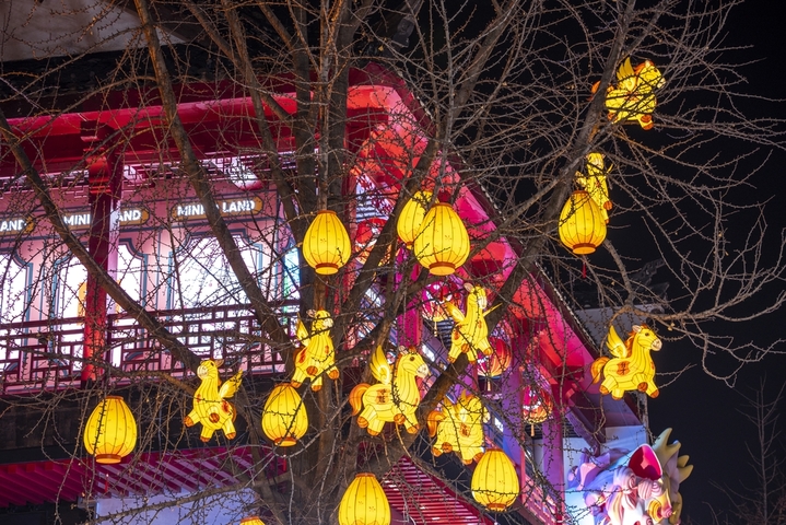 2026年1月8日，南京夫子庙景区马年花灯吸引眼球。来源：冷文/IC photo