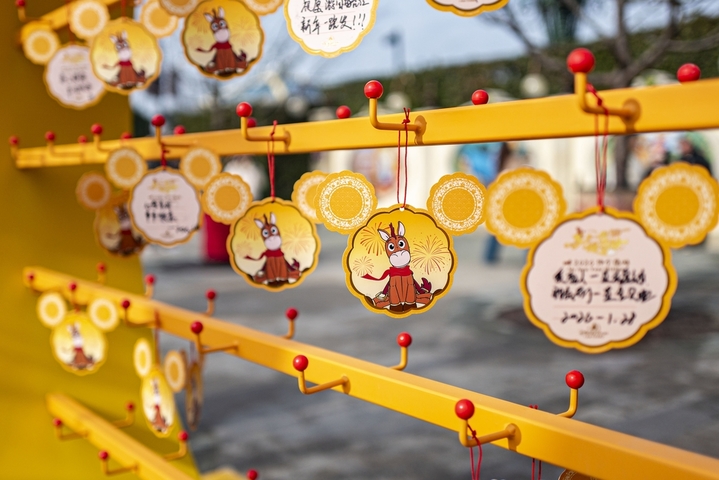 2026年1月28日，上海迪士尼乐园，心愿卡。