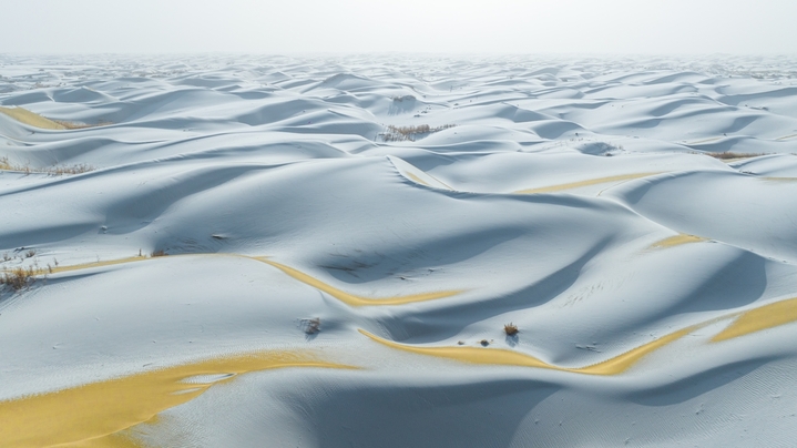 2026年1月29日，新疆巴音郭楞蒙古自治州尉犁县塔克拉玛干沙漠边缘迎来降雪天气，沙漠在皑皑白雪的映衬下，唯美壮观。
