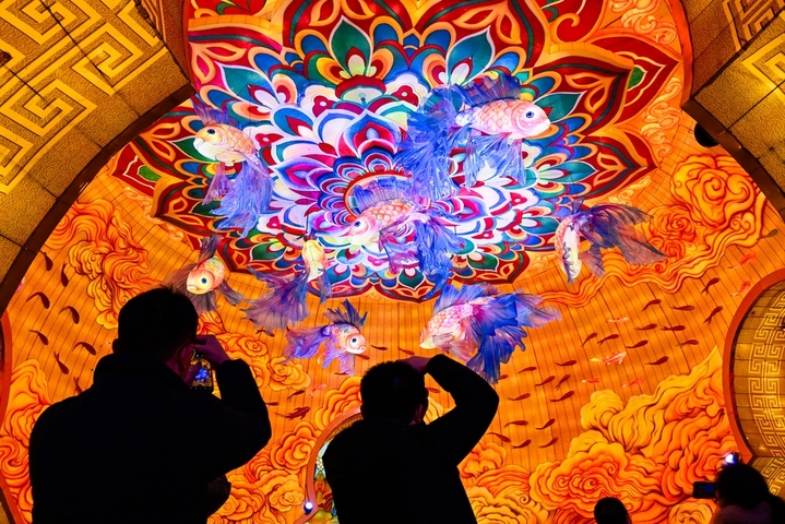 2月2日，四川自贡，在第32届自贡国际恐龙灯会，航拍以《木兰从军》为蓝本打造的180米长“木兰传奇”灯组。本届自贡国际恐龙灯会凭借独特的恐龙文化IP与非遗灯艺魅力，吸引大批游客前往。（无人机照片）