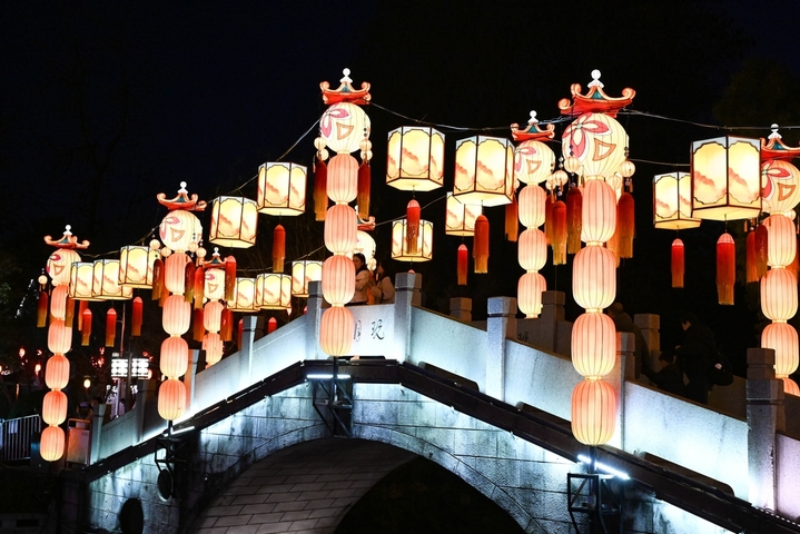 2026年2月12日晚，游客在南京白鹭洲公园赏灯游玩。