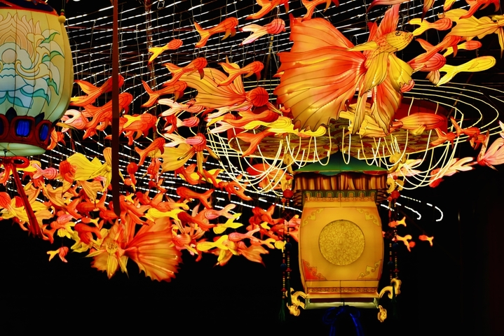 2026年2月14日，北京，正值情人节，漫步北京坊邂逅鱼灯光影廊。灯火摇曳，鱼影流转，一廊光影藏尽京城年味，一步一景皆是温柔新春。