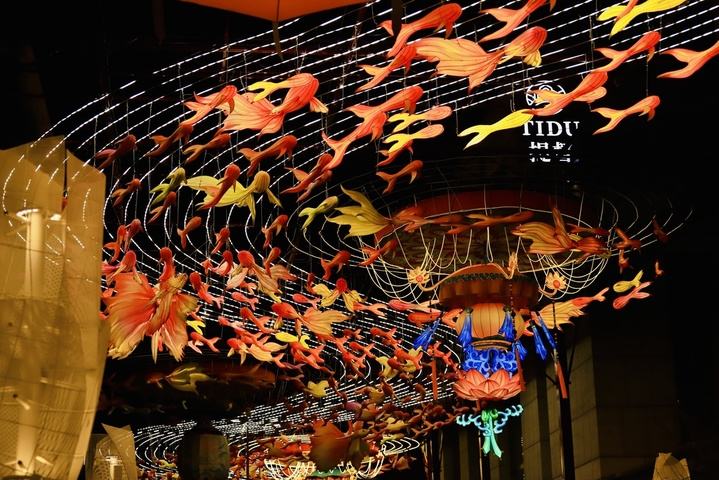 2026年2月14日，北京，正值情人节，漫步北京坊邂逅鱼灯光影廊。灯火摇曳，鱼影流转，一廊光影藏尽京城年味，一步一景皆是温柔新春。