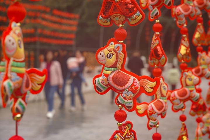 2026年2月14日，广西桂林，临近中国传统春节，在訾洲公园草坪上，郁金香等几十种花陆续绽放，吸引市民游客穿梭在花海中，感受自然山水与花海的艺术融合氛围。据了解，訾洲公园自2011年以来，在每年春节期间都会举办迎春花展，“桂林过年，訾洲看花”逐渐成为当地民众的新年俗。                         
