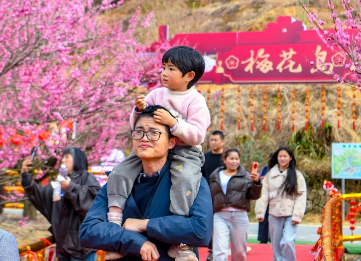 2026年2月23日，浙江省杭州市，淳安县千岛湖梅花岛进入梅花盛花期，漫山梅花竞相绽放，繁花满枝，吸引众多市民与游客前来踏青赏梅，拍照打卡，漫步花间步道，休闲漫步，沉醉在花海之中，尽享春日的美好时光。