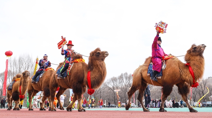 2026年2月25日，甘肃省张掖市肃南裕固族自治县少数民族传统项目体验区内，社火表演队的队员们为各民族群众和游客表演马队巡游。
