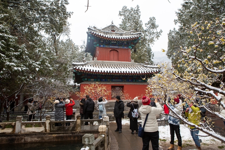 2026年3月5日，北京，迎来降雪，位于国家植物园(北园)卧佛寺内的蜡梅正值盛花期，众多游客纷纷来此“踏雪寻梅”。IC photo