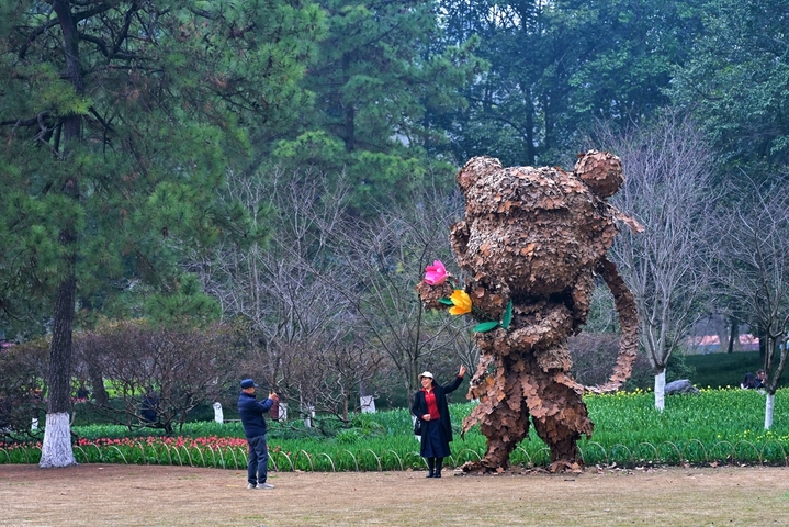2026年3月6日，浙江省杭州市，西湖区杭州太子湾公园一年一度的郁金香花展今日开展，在整个三月里，8000平方米种植区内的40万株郁金香及配景草花将渐次绽放，营造出一片艳丽的春日花海。本届花展主题为“爱如繁花”，核心展区逍遥坡以“蝶恋花海”为主题，融入“梁祝化蝶”意象。