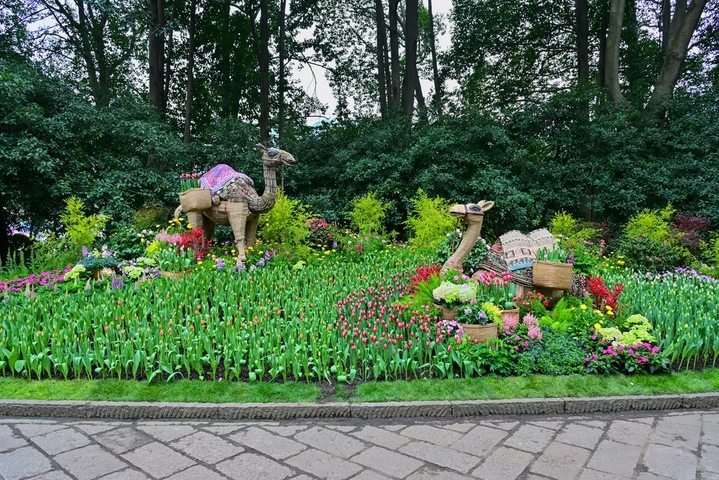 2026年3月6日，浙江省杭州市，西湖区杭州太子湾公园一年一度的郁金香花展今日开展，在整个三月里，8000平方米种植区内的40万株郁金香及配景草花将渐次绽放，营造出一片艳丽的春日花海。本届花展主题为“爱如繁花”，核心展区逍遥坡以“蝶恋花海”为主题，融入“梁祝化蝶”意象。